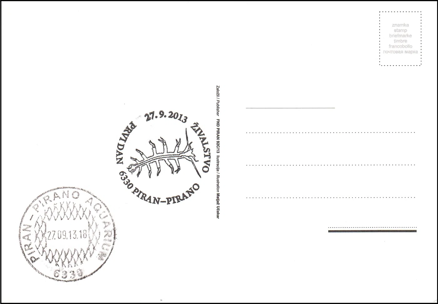 ŽIVALSTVO PRVI DAN